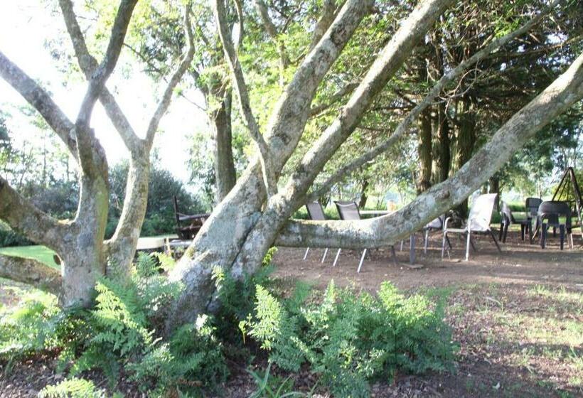 בונגלו משפחתי, Baldinnie Cottages