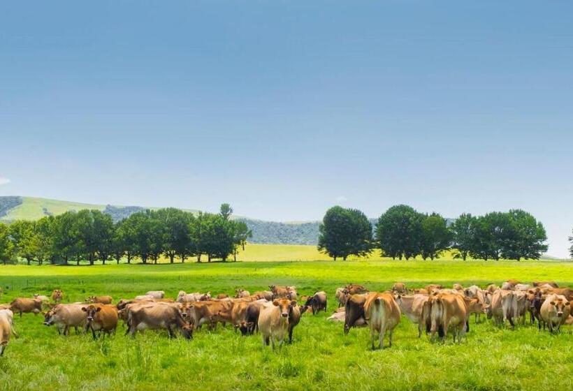 סטודיו סטנדרט עם מרפסת, Baldinnie Cottages