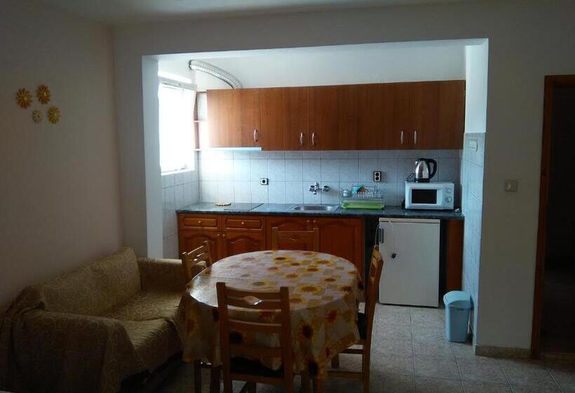 استودیو خانوادگی, Guest House D. Bogdanova