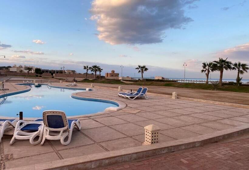 استودیوی سوپریور, Porto South Beach Royal Sea View Families صف اول بحر مباشر