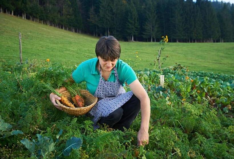 اتاق استاندارد چهارنفره با بالکن, Tourist Farm Kladje