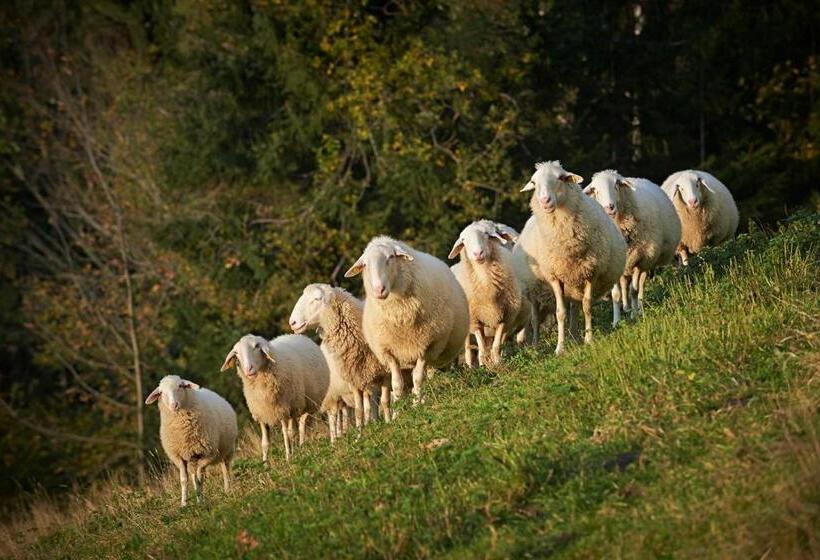 سوییت با چشم‌انداز باغ, Tourist Farm Kladje
