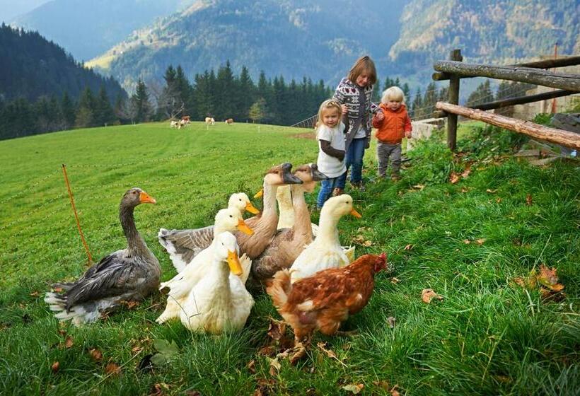 اتاق استاندارد با بالکن, Tourist Farm Kladje