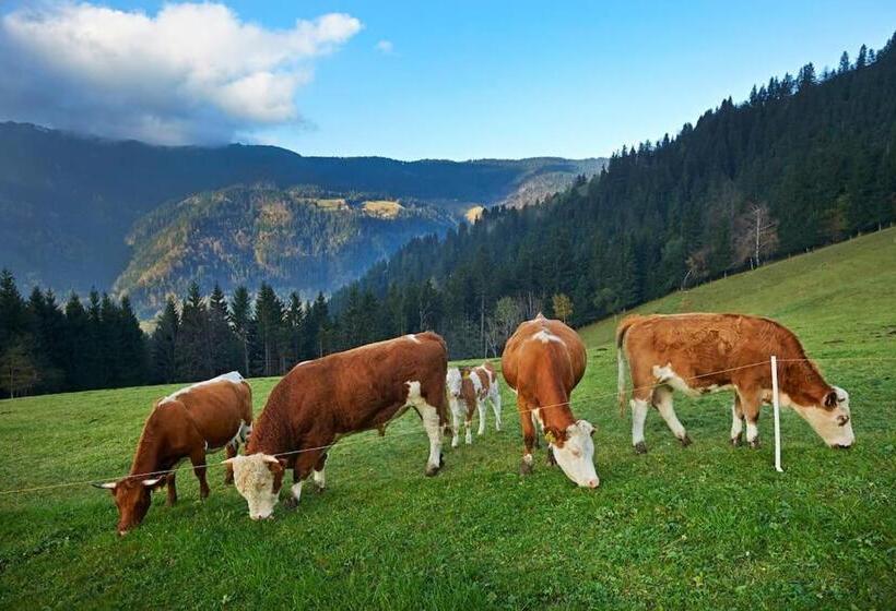 اتاق استاندارد با بالکن, Tourist Farm Kladje