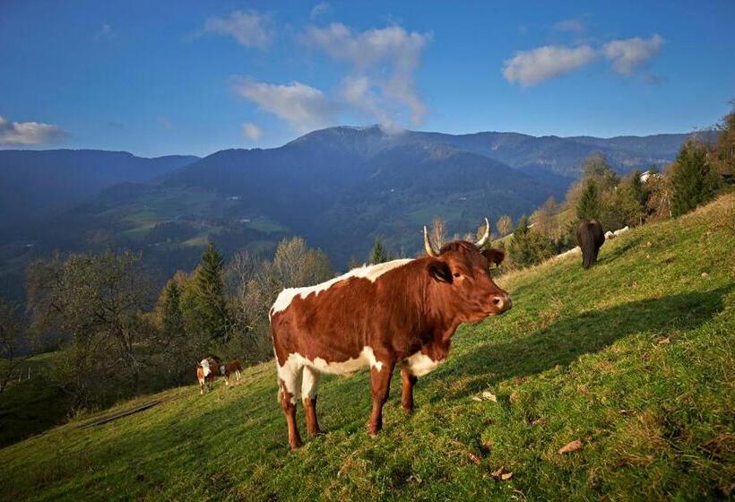 سوییت با چشم‌انداز باغ, Tourist Farm Kladje