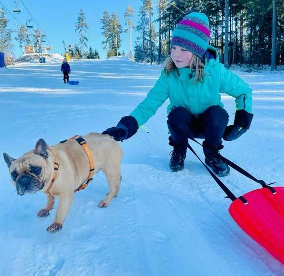 带1个卧室的带阳台的公寓, Apartments Lipno Serafin