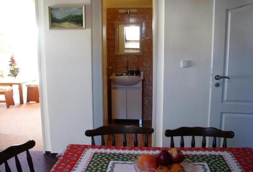 带1个卧室的带阳台的公寓, Apartments Lipno Serafin