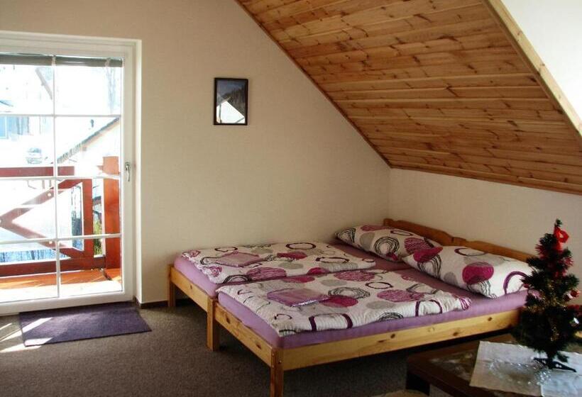 带1个卧室的带阳台的公寓, Apartments Lipno Serafin