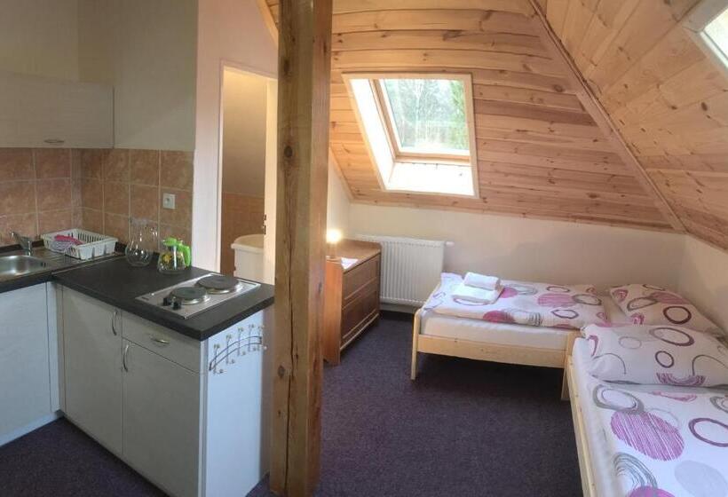 标准工作室, Apartments Lipno Serafin