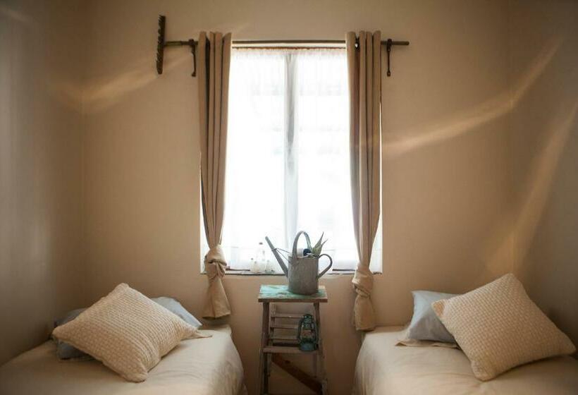 패밀리 룸, Karoo Khaya