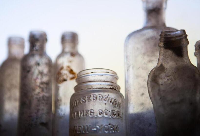 스위트, Karoo Khaya