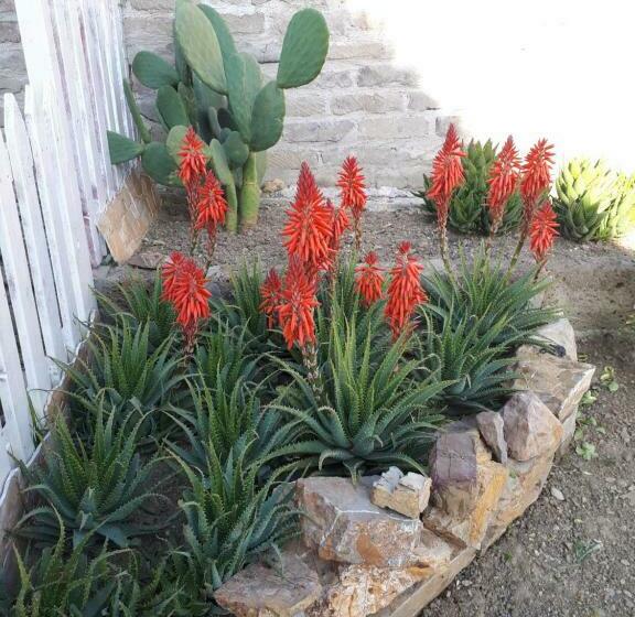 اتاق استاندارد, Bed And Breakfast Angolo Fiorito