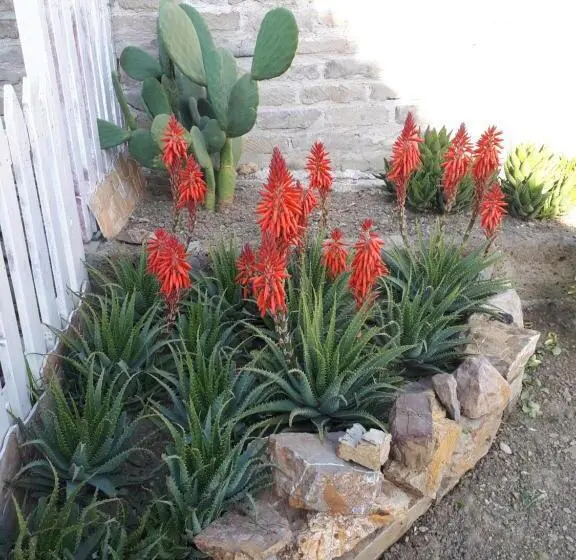 اتاق استاندارد سه نفره, Bed And Breakfast Angolo Fiorito