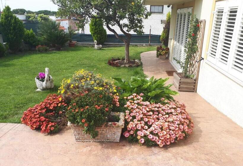 اتاق استاندارد سه نفره, Bed And Breakfast Angolo Fiorito