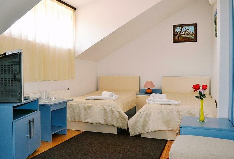 バルコニー付きスタンダードルーム, Family Hotel Miglena