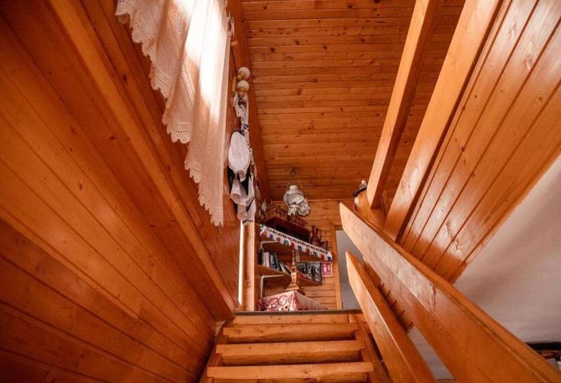 חדר סטנדרט, Pensiunea Anca