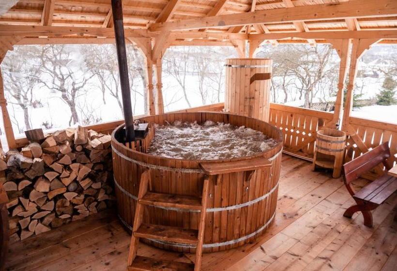 חדר סטנדרט, Pensiunea Anca