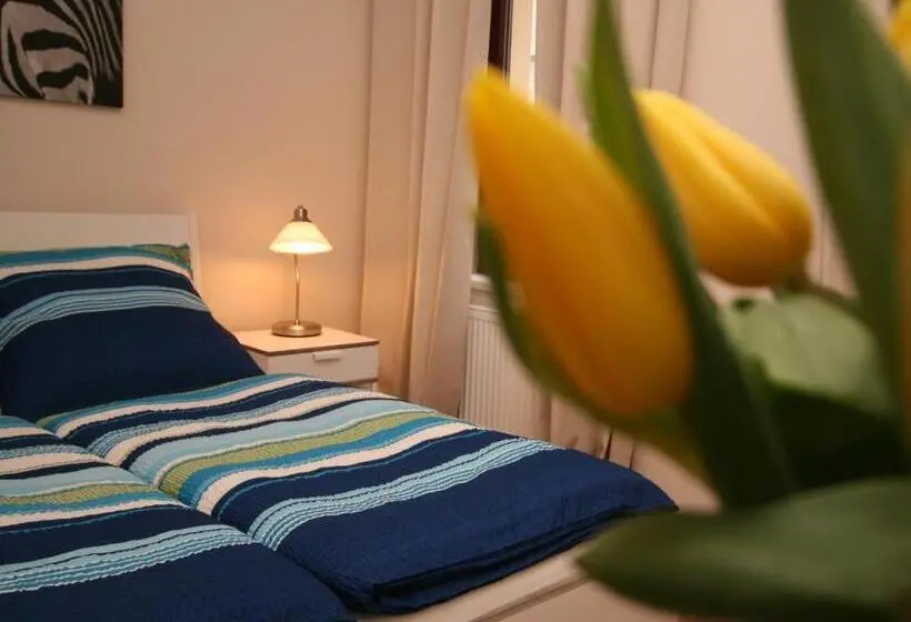 Standard-huone, Pension Alba