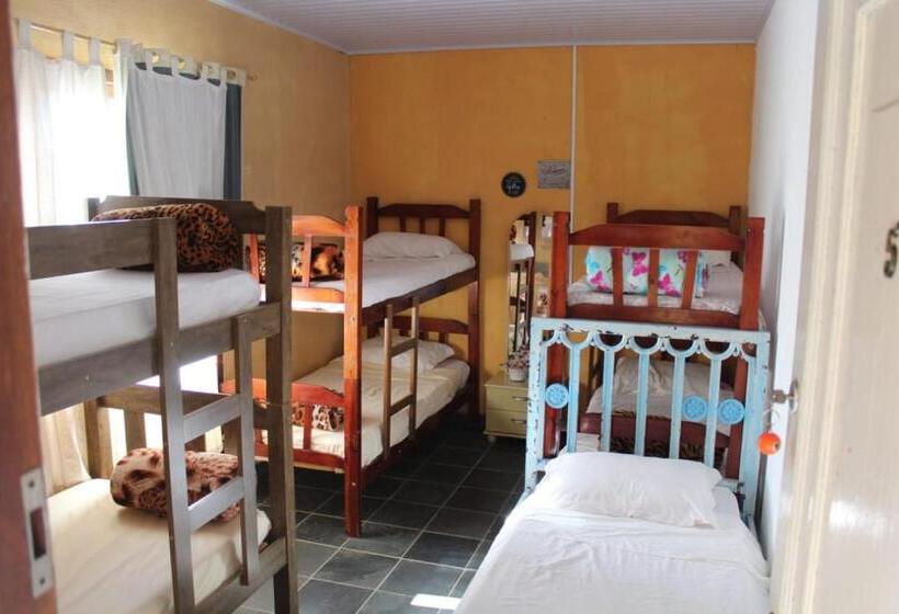 سرير فى غرفة مشتركه, Hostel Yellow House Mg