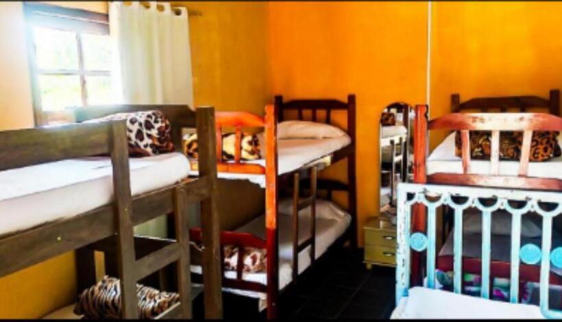 سرير فى غرفة مشتركه, Hostel Yellow House Mg
