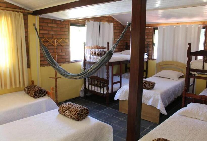 سرير فى غرفة مشتركه, Hostel Yellow House Mg