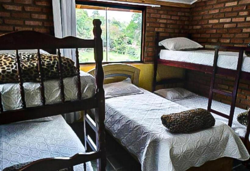 سرير فى غرفة مشتركه, Hostel Yellow House Mg