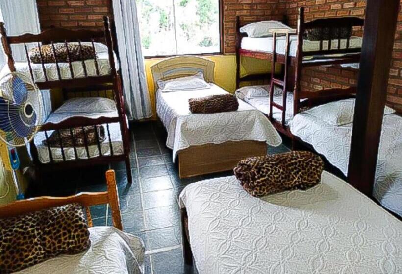 سرير فى غرفة مشتركه, Hostel Yellow House Mg