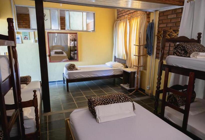 Кровать в Общей Комнате, Hostel Yellow House Mg