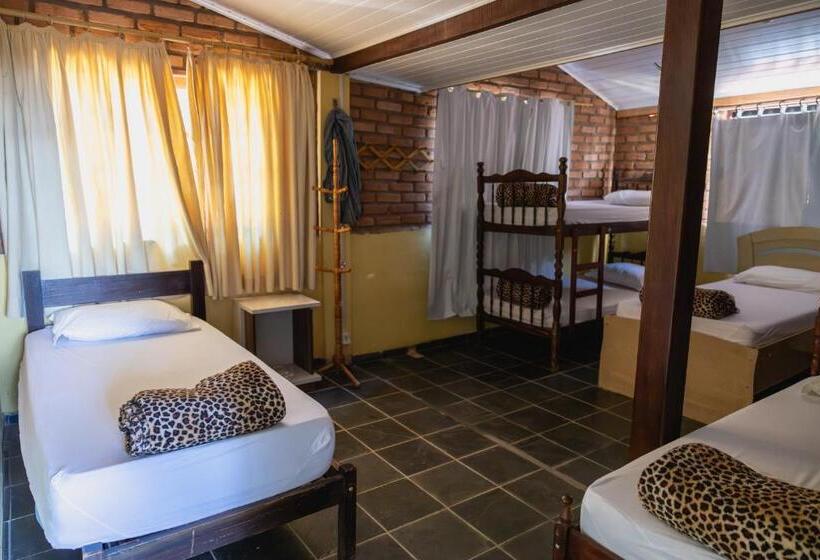 سرير فى غرفة مشتركه, Hostel Yellow House Mg