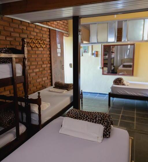 سرير فى غرفة مشتركه, Hostel Yellow House Mg