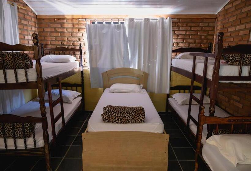 سرير فى غرفة مشتركه, Hostel Yellow House Mg