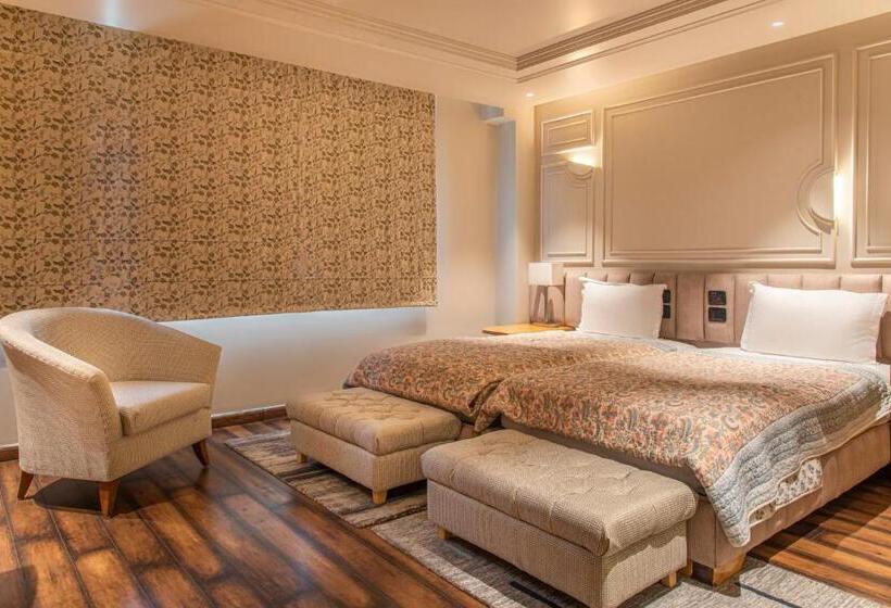 带1个卧室带观景的公寓, Echor Mandara Treevilla Dharamshala