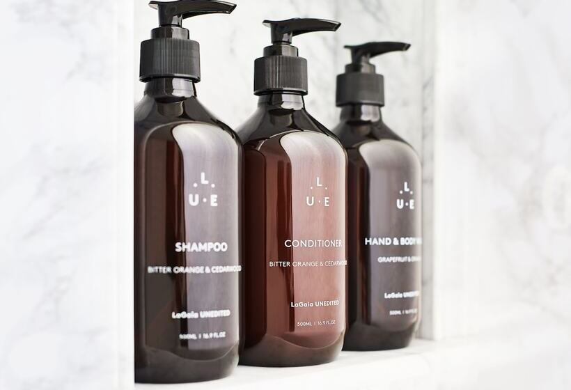 سوییت اجرایی, The Lasalle Chicago, Autograph Collection