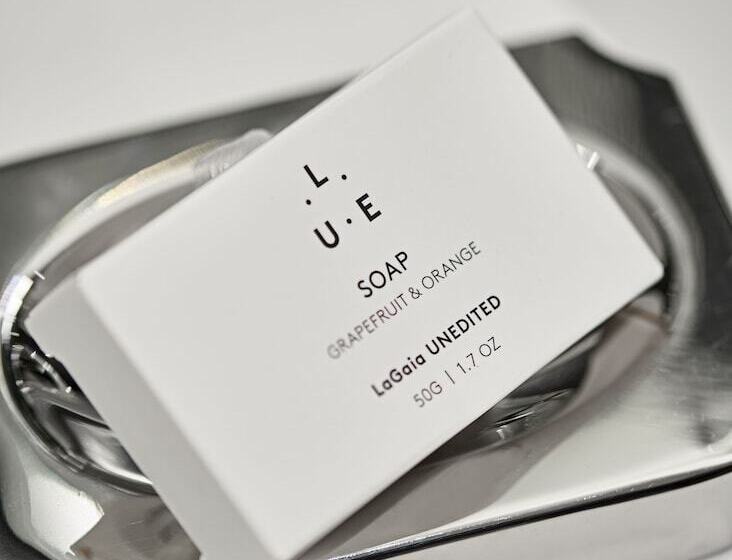 اتاق دلوکس مخصوص معلولین, The Lasalle Chicago, Autograph Collection