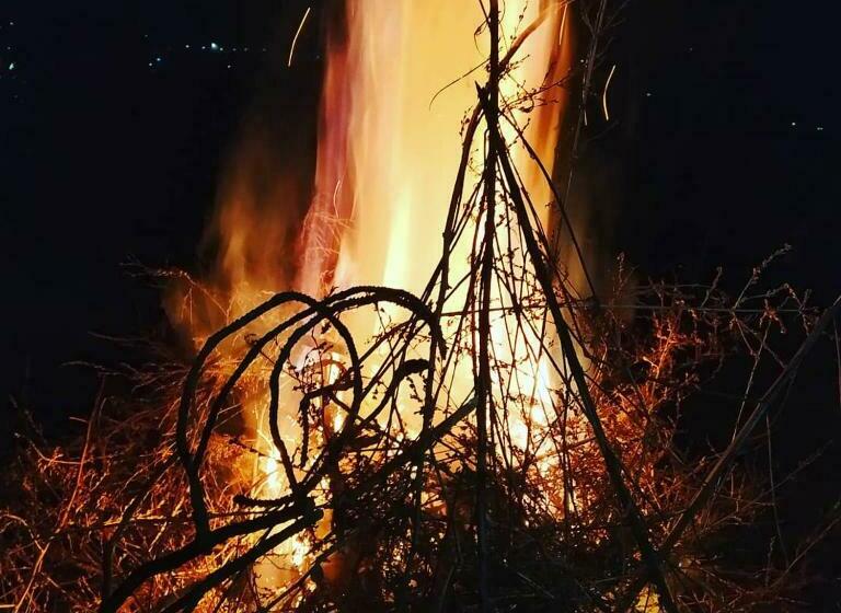 غرفة عائلية, Shimla Pines Homestay