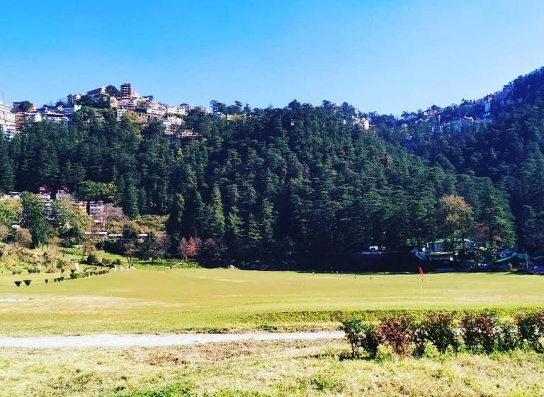 غرفة ديلوكس, Shimla Pines Homestay