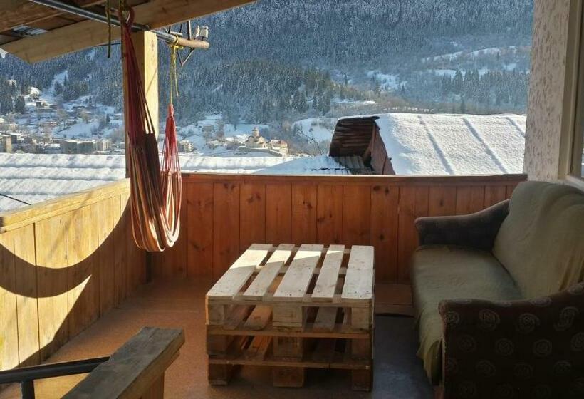 اتاق استاندارد, Irina Lextagi