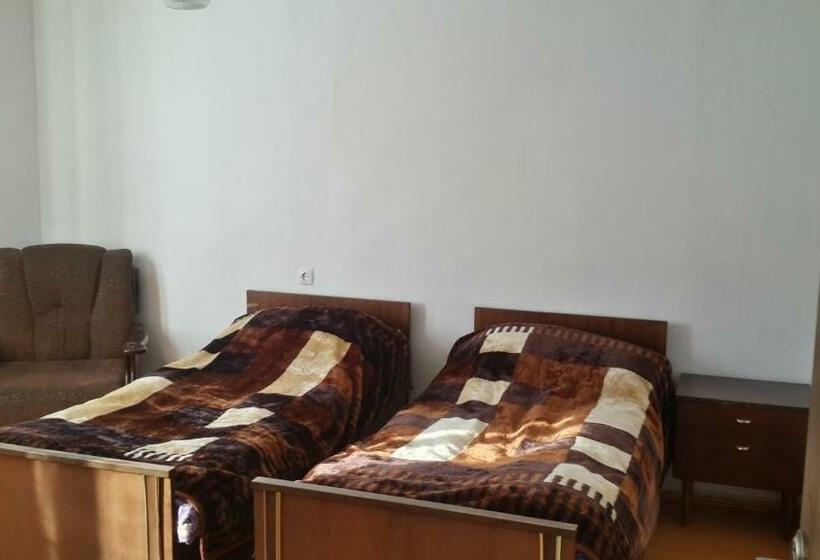 اتاق استاندارد, Irina Lextagi