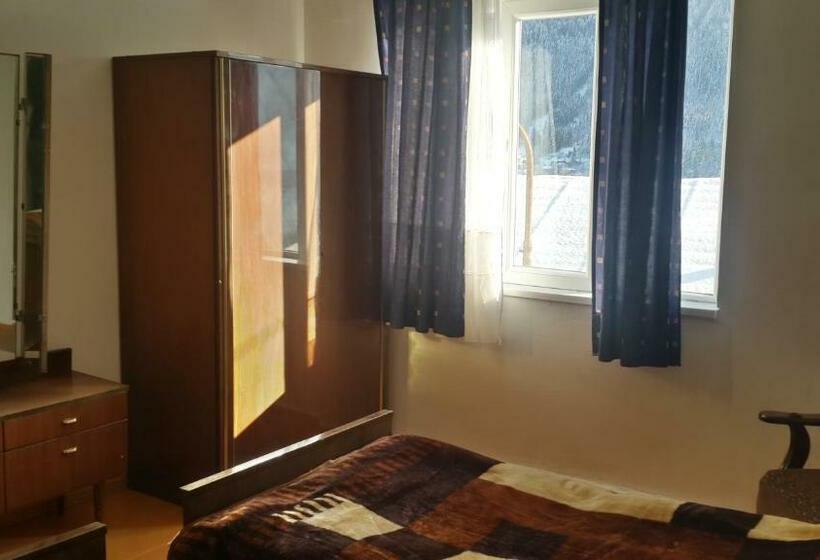 اتاق استاندارد, Irina Lextagi