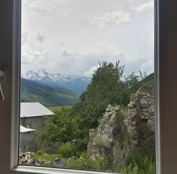 Economy Triple Room, Irina Lextagi