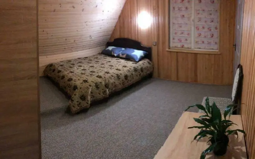 スタンダードルーム, карпатська ніч