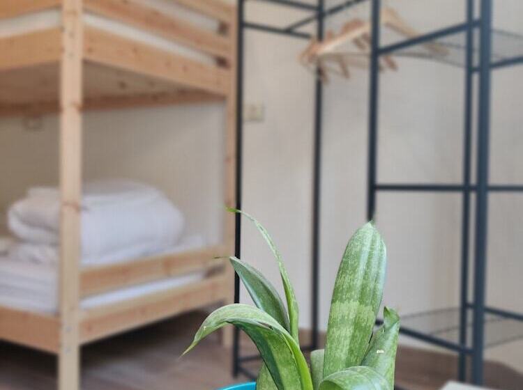 4인용 스탠다드 룸, Green Hostel Oviedo