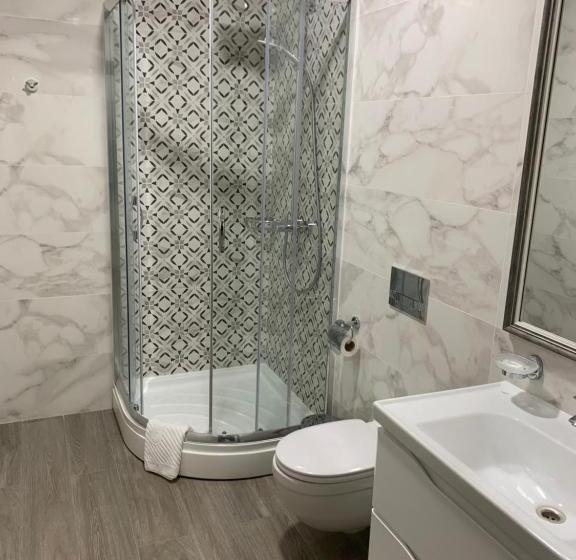 高级大房间, готель петрівський