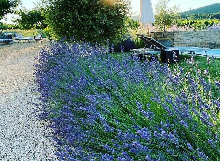 スタンダードルーム, Maison D Hôtes Bastide St Victor à 2,5 Kilomètres De Lourmarin