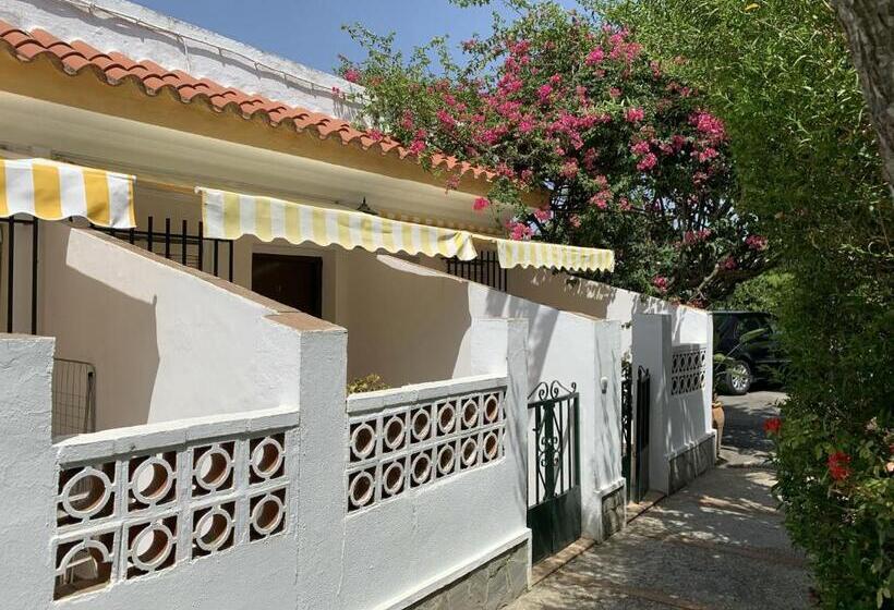 스탠다드 테라스 룸, Antonio Conil