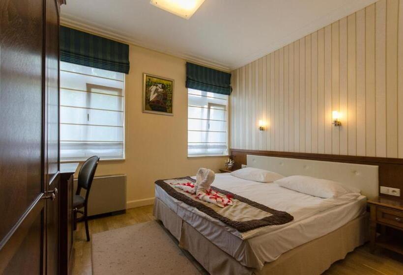 标准房带园景, Apollo