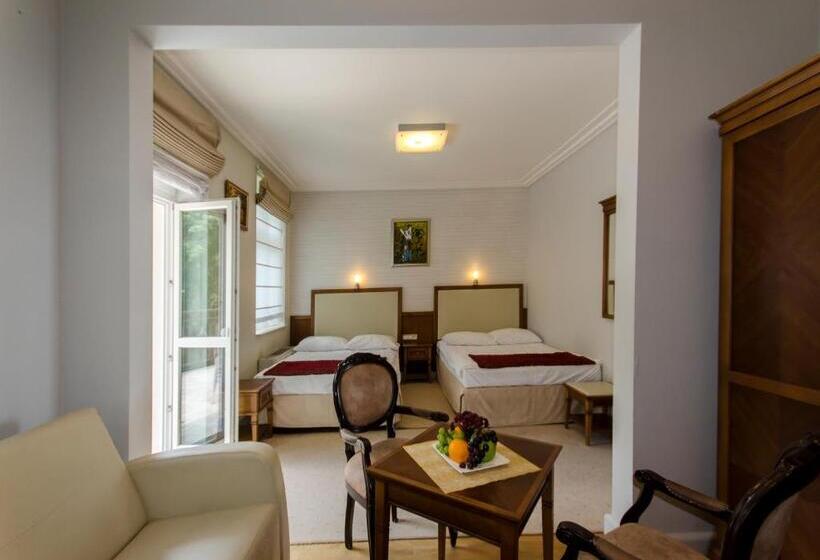 园景标准四人间, Apollo