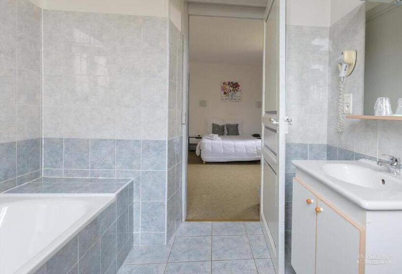 2ダブルベッドのスタンダードルーム, Hôtel Pedussaut