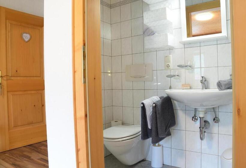 스탠다드 룸 산 전망, Pension Lichtspitze