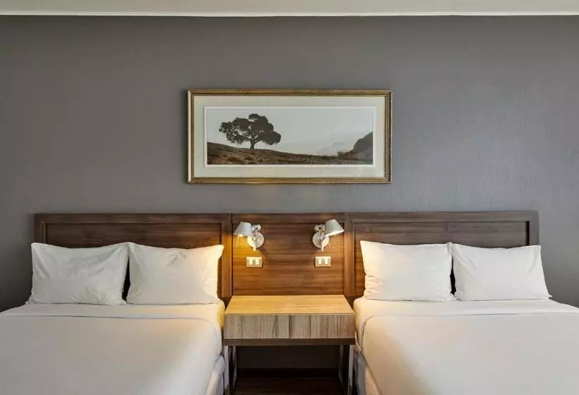 اتاق استاندارد, Radisson Blu Plaza El Bosque Santiago